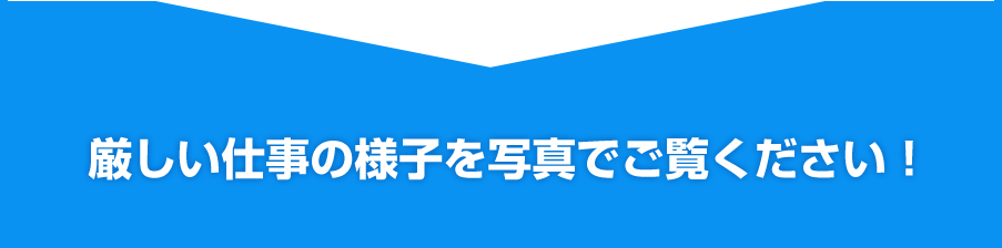 厳しい仕事の様子を写真でご覧ください！